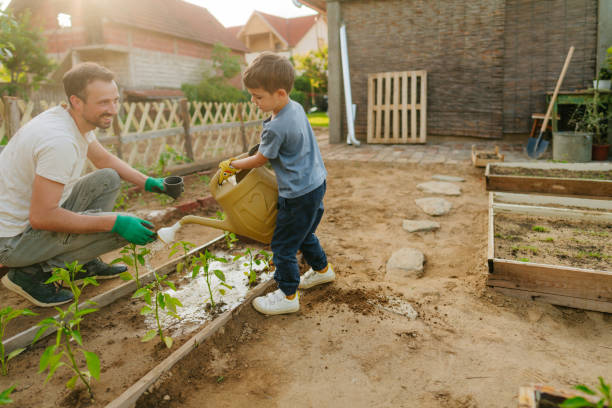 istock With dad in our organic garden 1952135339