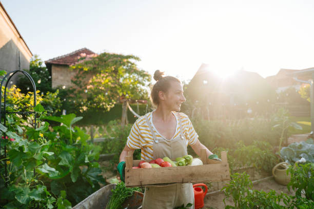 istock In my organic garden 1952137517