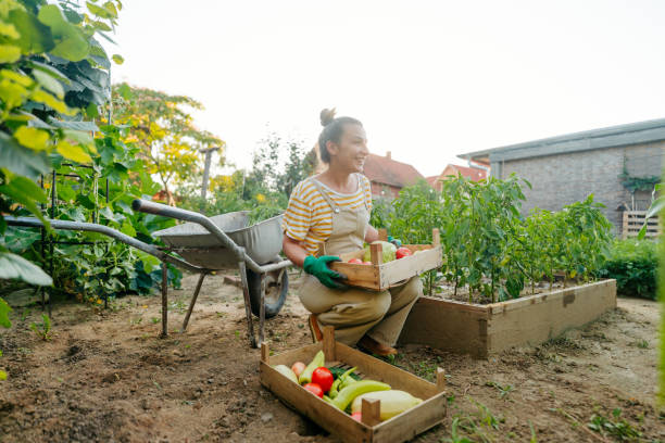 istock In my organic garden 1952137533