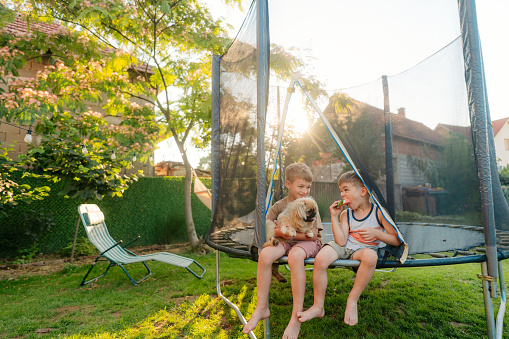 Photo of two boys and their dog having fun on the trampoline