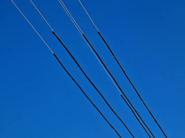 colorful plastic spirals attached to wires are spotted by the birds in time and avoided during flight. According to energy experts and conservationists, they could save up to tens of thousands birds, underpass height