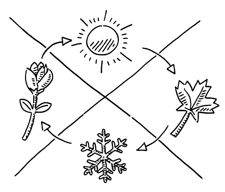 Hand-drawn vector drawing of a Four Seasons Symbols. Black-and-White sketch on a transparent background (.eps-file). Included files are EPS (v10) and Hi-Res JPG.