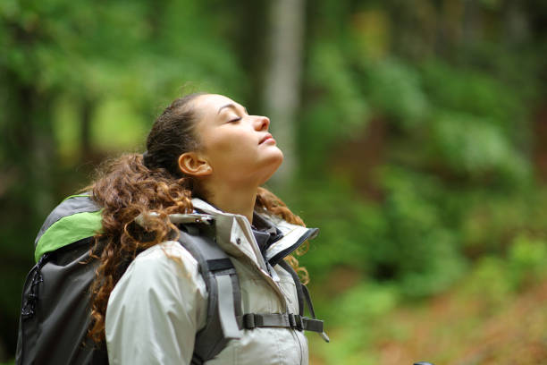 istock Hiker breathing fresh air in a forest 1952174862