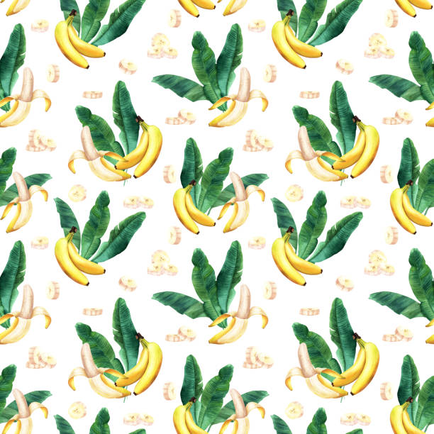 ilustrações, clipart, desenhos animados e ícones de padrão sem costura em aquarela com folhas de bananeira e banana de fruta amarela descascada comestível. ilustração desenhada à mão isolada no fundo branco. para embrulhar tecido de papel de parede têxtil. - banana peeled banana peel white background