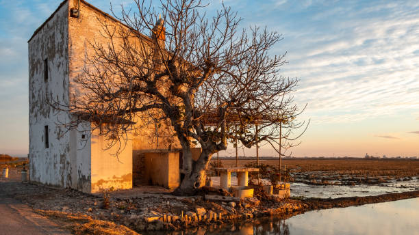 Sunrise from Parc Natural de l'Albufera