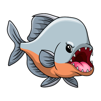 Vector illustration of Cute piranha cartoon a swimming