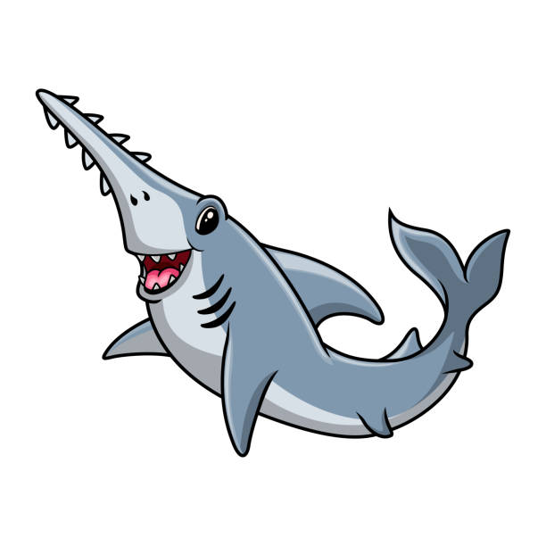 lustige niedliche sawshark karikatur ein lächeln - sand tiger shark stock-grafiken, -clipart, -cartoons und -symbole