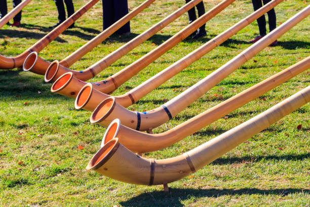 istock Alphorns laying on the grass on the alpine meadow 1952208946
