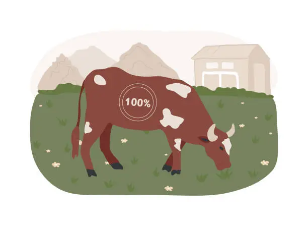 Vector illustration of Grass fed beef isolated concept vector illustration.