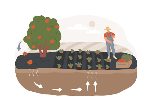 Biological cycle isolated concept vector illustration. Plant uptake and harvest, biosolid, soil mineralization, food processing waste, agricultural cycle, natural biodiversity vector concept.
