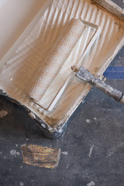 istock Paint roller and brush on a paint tray, ready for some home decorating and home improvement 1952227508