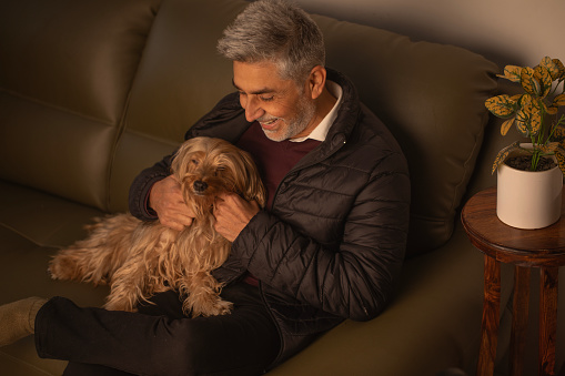 High angle view of cheerful senior man playing with cute fluffy Yorkshire Terrier while relaxing on sofa in living room