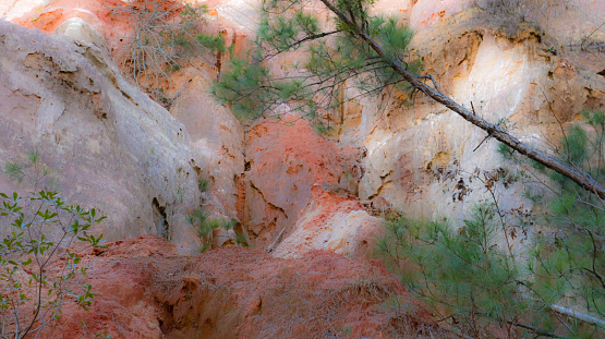 Just a look at the colors and shapes of a very small portion of the canyon wall at Providence Canyon State Park in Lumpkin, Georgia.