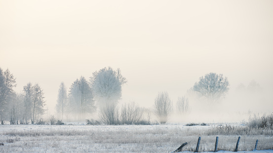 Winter Morning, Frost Covered Trees and Landscape Along River\n\n[url=http://istockphoto.com/litebox.php?liteboxID=269239][img]http://www.istockphoto.com/file_thumbview_approve.php?size=1&id=490984[/img][/url] [url=http://istockphoto.com/litebox.php?liteboxID=269239][img]http://www.istockphoto.com/file_thumbview_approve.php?size=1&id=484223[/img][/url] [url=http://istockphoto.com/litebox.php?liteboxID=269239][img]http://www.istockphoto.com/file_thumbview_approve.php?size=1&id=677040[/img][/url] [url=http://istockphoto.com/litebox.php?liteboxID=269239][img]http://www.istockphoto.com/file_thumbview_approve.php?size=1&id=446046[/img][/url]\n[url=http://istockphoto.com/litebox.php?liteboxID=269239][img]http://www.istockphoto.com/file_thumbview_approve.php?size=1&id=490975[/img][/url] [url=http://istockphoto.com/litebox.php?liteboxID=269239][img]http://www.istockphoto.com/file_thumbview_approve.php?size=1&id=472216[/img][/url] [url=http://istockphoto.com/litebox.php?liteboxID=269239][img]http://www.istockphoto.com/file_thumbview_approve.php?size=1&id=473138[/img][/url] [url=http://istockphoto.com/litebox.php?liteboxID=269239][img]http://www.istockphoto.com/file_thumbview_approve.php?size=1&id=677017[/img][/url]\n[url=http://istockphoto.com/litebox.php?liteboxID=269239][img]http://www.istockphoto.com/file_thumbview_approve.php?size=1&id=477092[/img][/url] [url=http://istockphoto.com/litebox.php?liteboxID=269239][img]http://www.istockphoto.com/file_thumbview_approve.php?size=1&id=446013[/img][/url] [url=http://istockphoto.com/litebox.php?liteboxID=269239][img]http://www.istockphoto.com/file_thumbview_approve.php?size=1&id=677052[/img][/url] [url=http://istockphoto.com/litebox.php?liteboxID=269239][img]http://www.istockphoto.com/file_thumbview_approve.php?size=1&id=841782[/img][/url]\n\nPlease visit my [url=http://istockphoto.com/litebox.php?liteboxID=269239]--WINTER--[/url] lightbox for many more shots like the above to choose from.