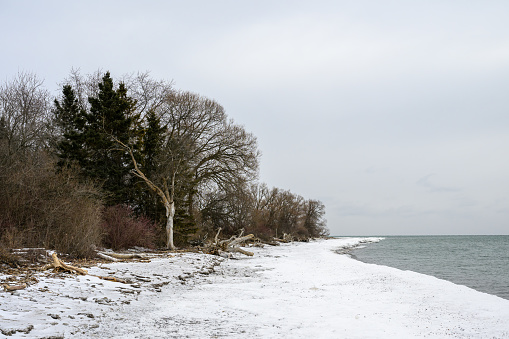 Darlington Park, located in Ontario, Canada, is known to attract migratory birds due to its location along the northern shores of Lake Ontario and its surrounding habitats.