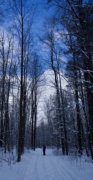 Staying active by snowshoeing on a mid winter day.