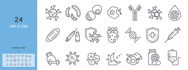 ilustraciones, imágenes clip art, dibujos animados e iconos de stock de conjunto de iconos de línea del sistema inmunológico humano. escudo, vacuna, jeringa, mascarilla, probiótico, bacteria, antígeno, leucocito, macrophpg, vitamina d, sueño normal, actividad física ilustración vectorial trazos editables - enfermedad-contagiosa