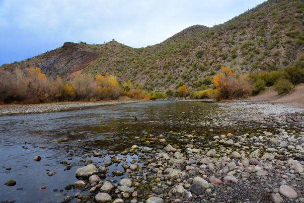 istock Salt River Recreation Area Arizona 1952322028