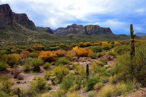 Salt River Arizona recreation area, Desert Mountains, east of Phoenix Arizona