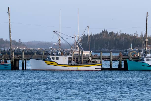 istock Fishing Boats 1952338991