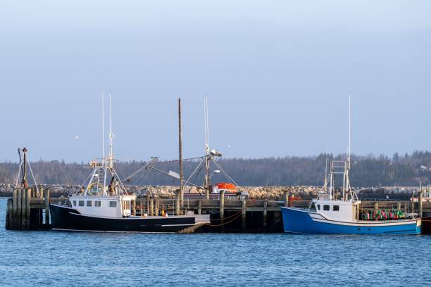 istock Fishing Boats 1952339498