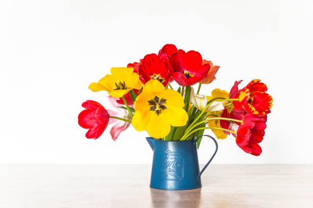 Bouquet of red and yellow tulps in a blue jug on a white background
