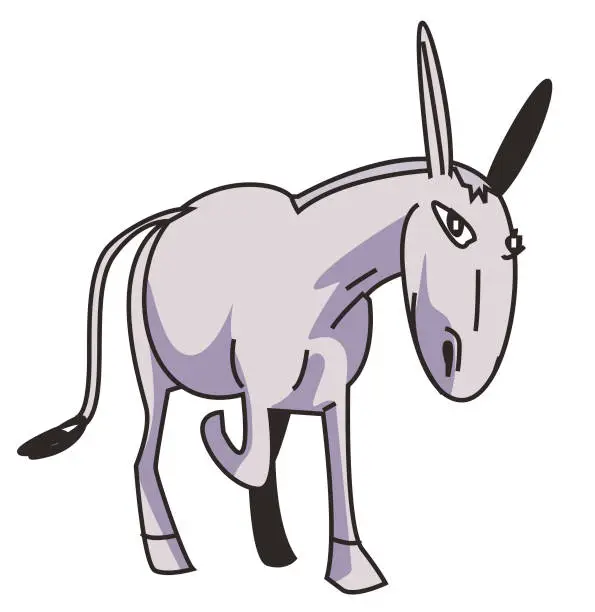 Vector illustration of cute donkey