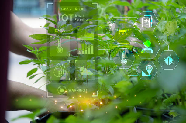 istock The concept of using AI and smart farming. 1952359323