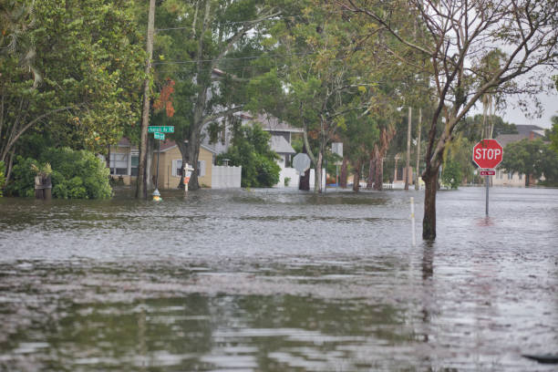 istock Florida Residential Coastal Flooding 1952366411