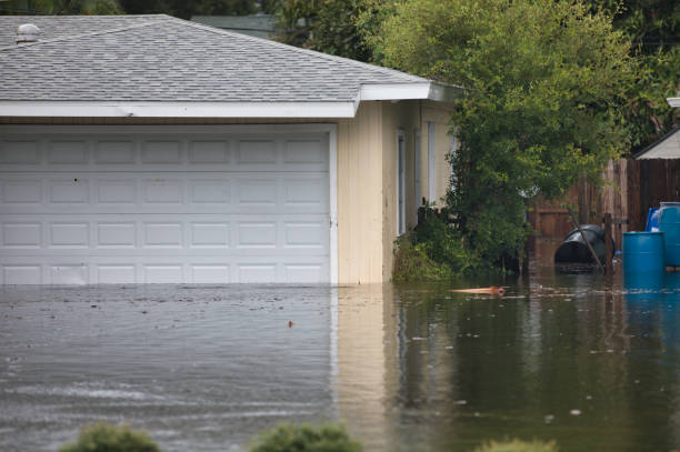 istock Florida Residential Coastal Flooding 1952366935