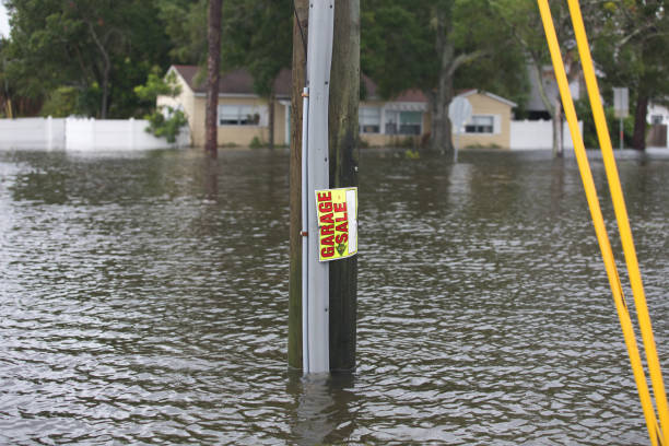 istock Florida Residential Coastal Flooding 1952366950