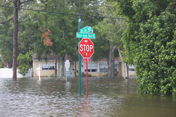 istock Florida Residential Coastal Flooding 1952367490
