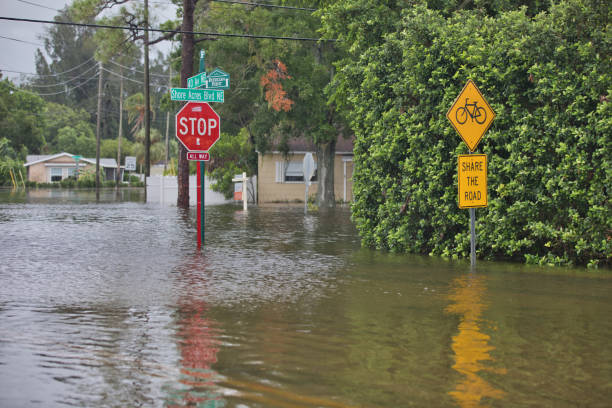 istock Florida Residential Coastal Flooding 1952367493