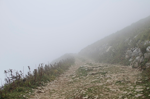 Tourist mountain path through the green plants and cloudy fog, the road to the peak