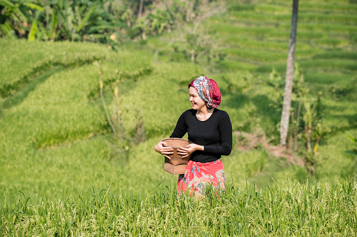 Portrait of a happy smiling senior woman in wheat field