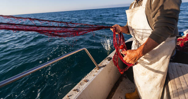 istock Fisherman at work with net on trawler fishing boat 1952406939