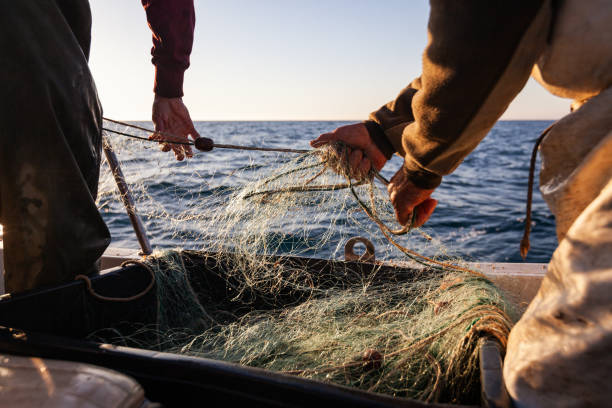 Fisherman at work pulling fishing net on trawler Fisherman at work with net on trawler fishing boat, typical small scale fisheries of the Mediterranean Sea boat-fishing-net stock pictures, royalty-free photos & images