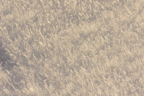 Frozen reality on the field in January