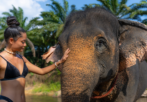 Female asian tourist bathing and posing with an Elephant in the tropical rain forest in Bali.