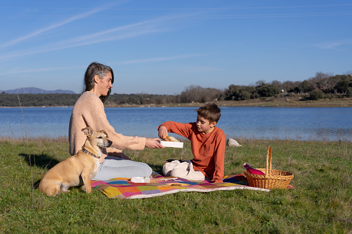 Mother and son having a picnic at a lake with their dog