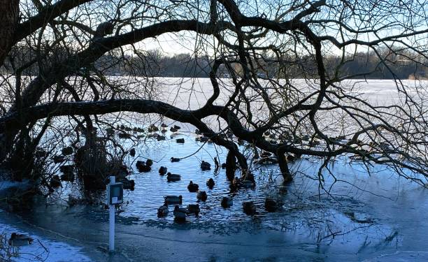 Scenic view of an ice opening in the Scandinavian lake