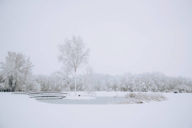 istock Winter landscape with a frozen lake 1952452918