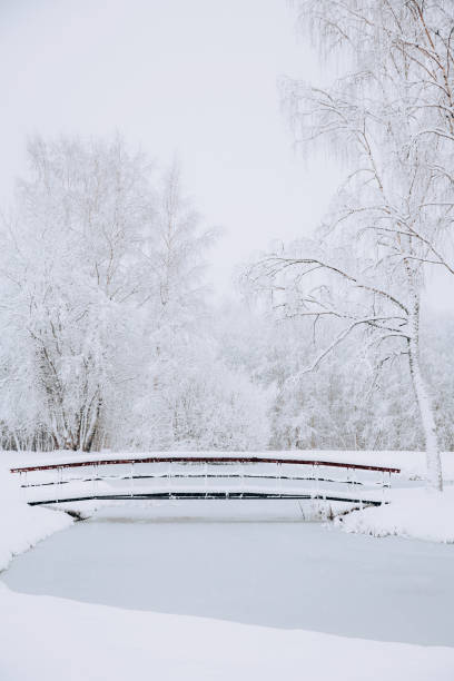 istock Winter landscape with a frozen lake 1952453992