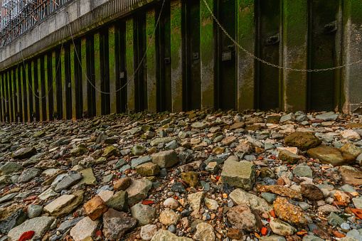 A detail of the riverbank in London. The river Thames is low tide. The wall is green from the seaweed