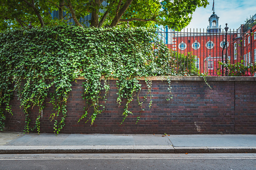 Painted on blue brick wall on the street