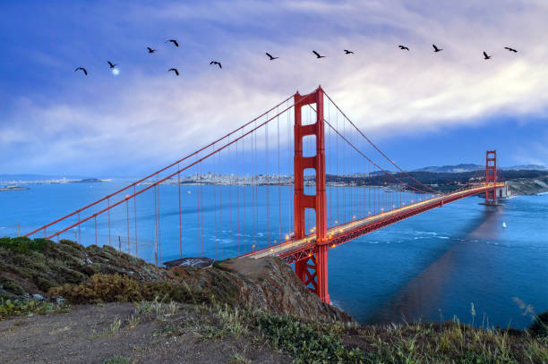 l'area della baia di san francisco e il golden gate bridge in california - golden gate bridge san francisco county san francisco bay bay foto e immagini stock