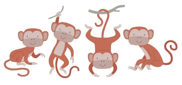 Vector illustration of Cute Monkey set with many poses.
