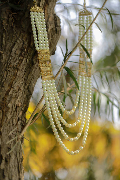 istock Beautiful necklace hanging on the tree 1952479401
