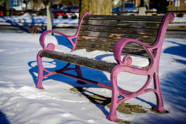 Rustic wooden bench in the park covered with snow
