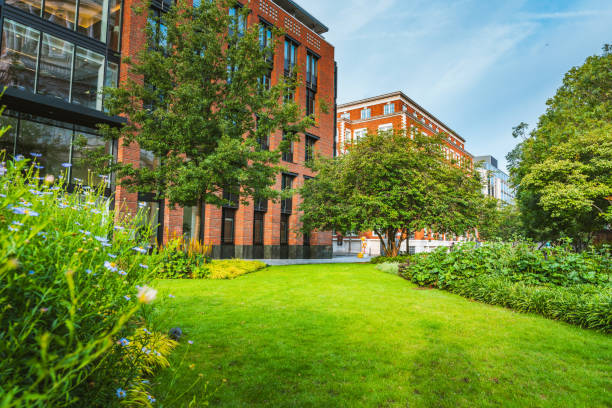 Green city park in London